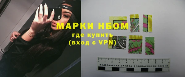 шишки Иннополис